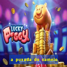 a puxada do camelo no jogo do bicho