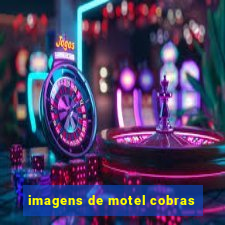 imagens de motel cobras