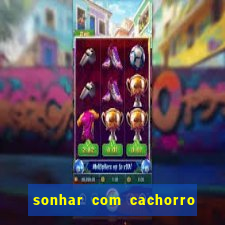 sonhar com cachorro mordendo jogo do bicho